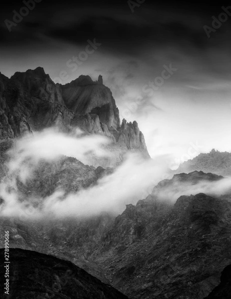 Obraz The amazing nature