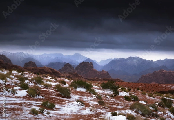 Obraz The amazing nature