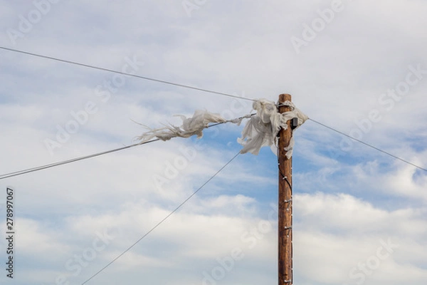 Obraz  electric pole with plastic entangled in the cable