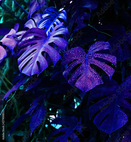 Obraz Creative fluorescent color layout made of tropical leaves.