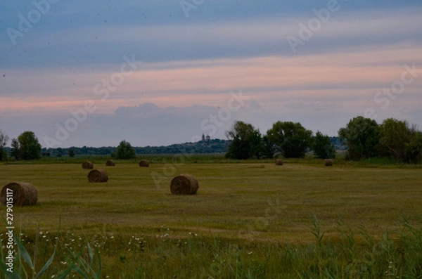 Fototapeta the stack of straw
