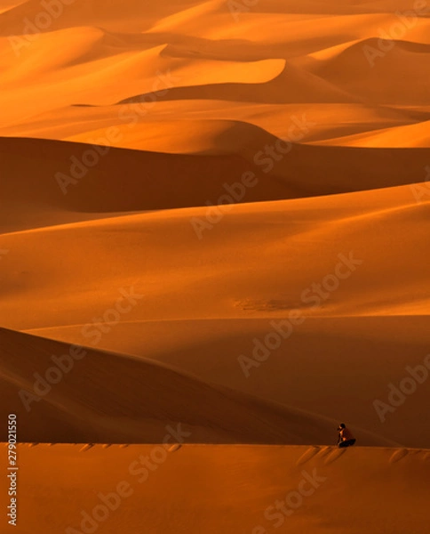 Obraz The vast desert sands