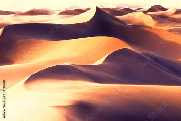 Obraz The vast desert sands