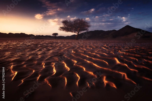 Obraz sunset in the desert