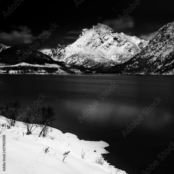 Obraz winter in the mountains