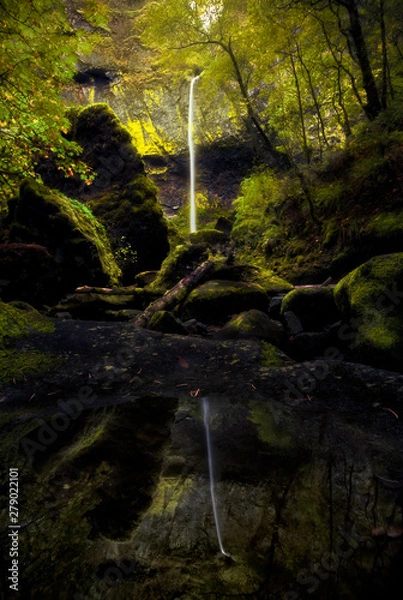 Fototapeta waterfall in the forest