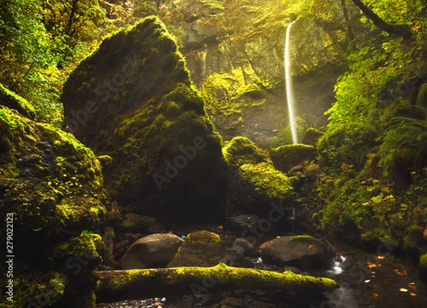 Fototapeta waterfall in the forest