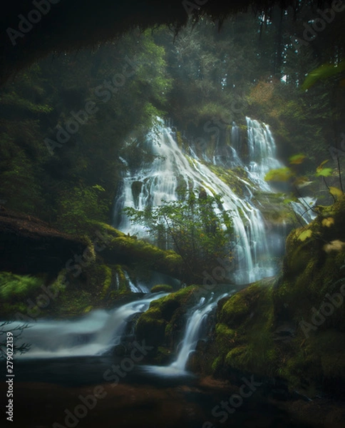 Fototapeta waterfall in forest