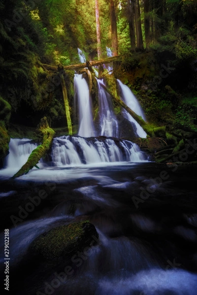 Fototapeta waterfall in the forest