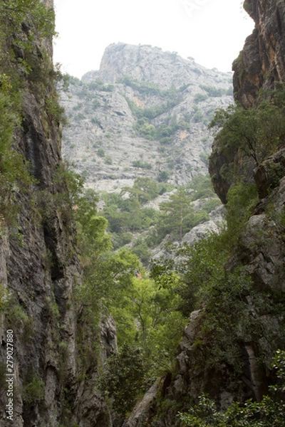 Fototapeta canyon and waterfalls in the mountains of Alanya, Turkey, Sapadere. A beautiful journey in the.cool of the summer on a hot day.