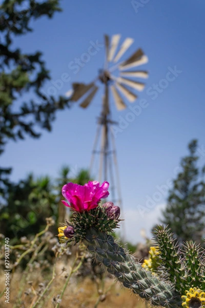 Obraz Old windmill in Northern Cyprus