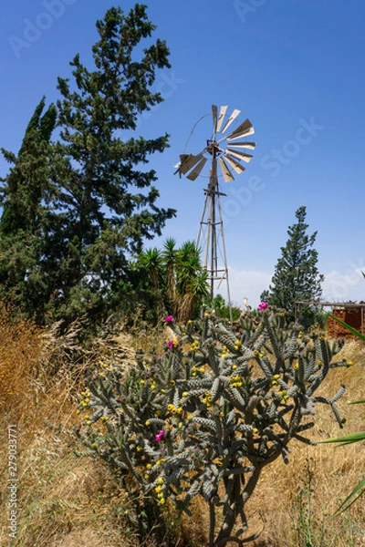 Obraz Old windmill in Northern Cyprus