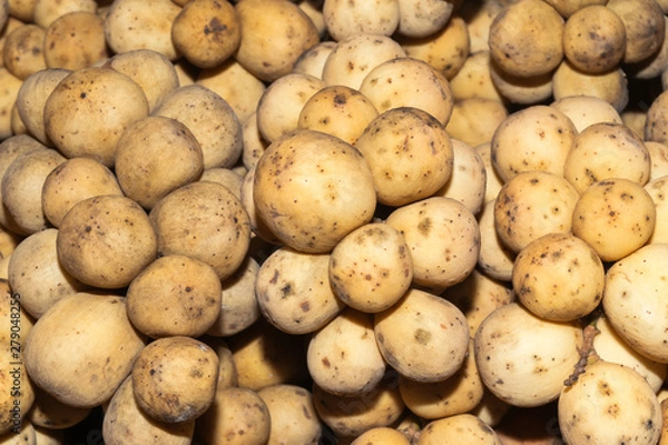 Fototapeta Closeup of Long Kong fruits or Lansium Parasiticum ( Langsat ).