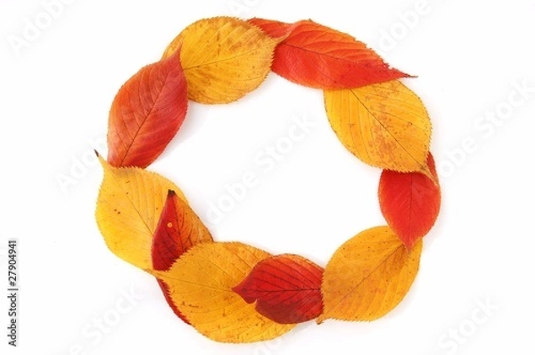 Obraz 落ち葉のリース