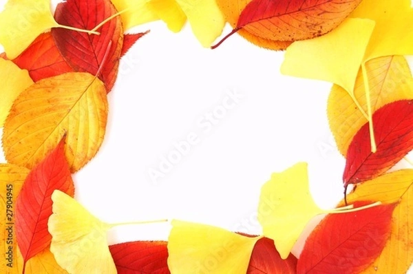 Obraz 紅葉した落ち葉の背景