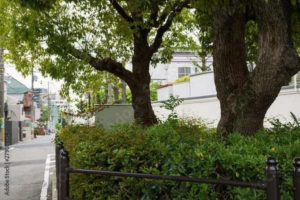 Fototapeta 天王寺区の街並み
