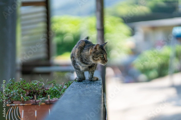 Obraz 獲物を待つ