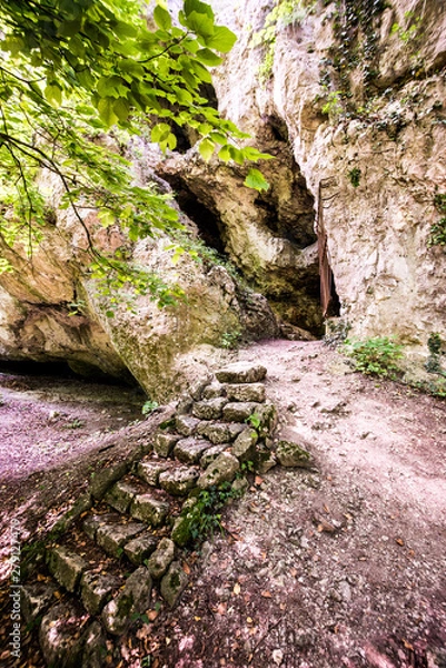 Obraz cave in forest