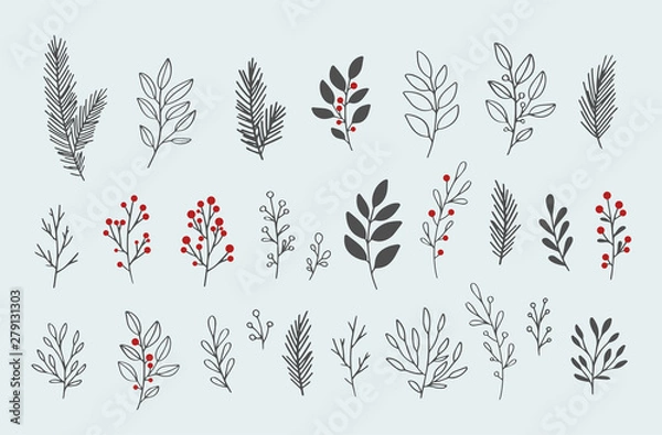 Fototapeta Ręcznie rysowane zimowe elementy kwiatowy wektor. Zimowe gałęzie i liście. Ręcznie rysowane elementy kwiatowe. Vintage ilustracje botaniczne.