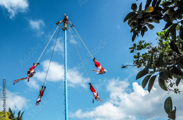 Fototapeta OLYMPUS DIGITAL CAMERA