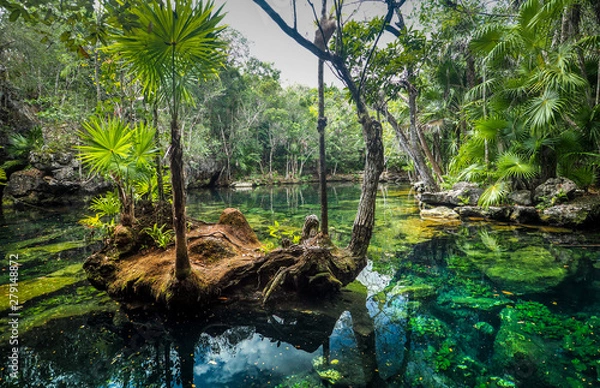 Fototapeta OLYMPUS DIGITAL CAMERA