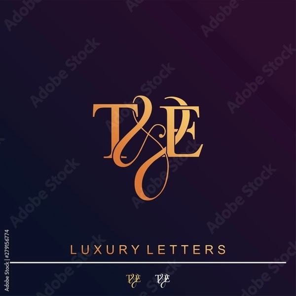 Fototapeta T & E TE logo initial vector mark. Initial letter T & E TE luxury art vector mark logo.