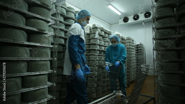 Obraz cheese production, long ripening