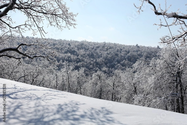 Obraz Заледеневшие заснеженные веточки на фоне лесных гор