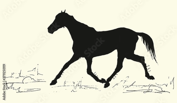 Fototapeta isolated black  running horse silhouette on colored background and place for inscription