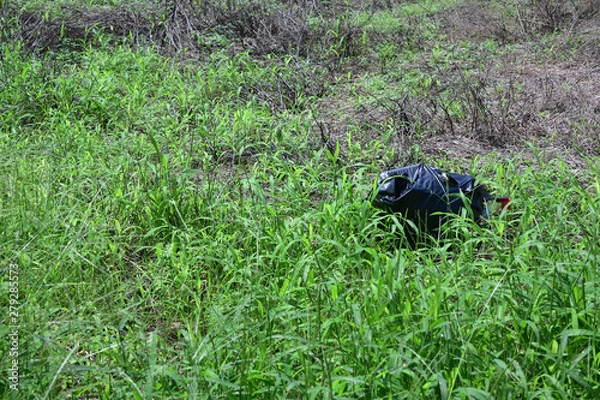 Fototapeta 違法投棄のゴミ