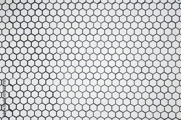 Obraz Interior Design Hexagon Marble Tile