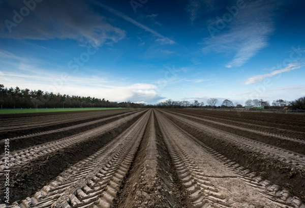 Obraz Ploughed field with tractor tracks