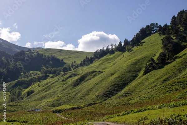 Obraz the Caucasus mountains Arkhyz in Sunny day