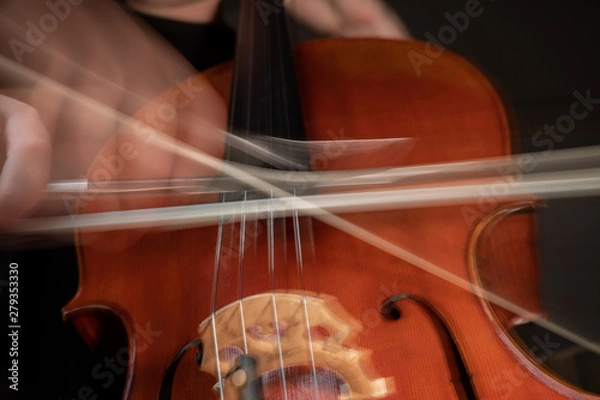 Fototapeta A young cellist practices intensely in this close up high resolution photo of strings, cello, and bow