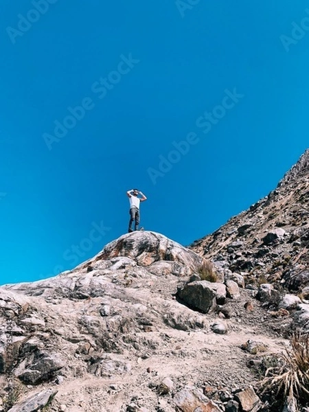 Fototapeta seagull on rock