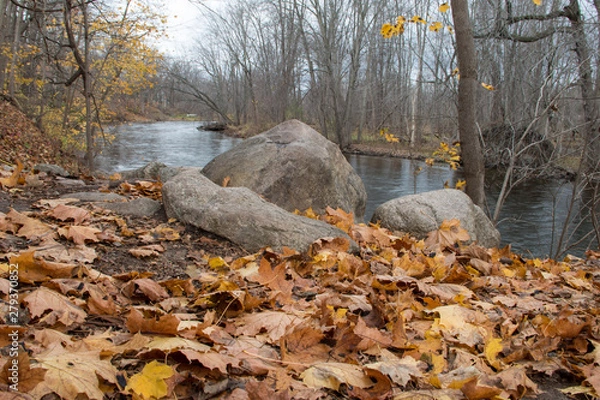 Obraz Autumn Rocks Leaves Creek