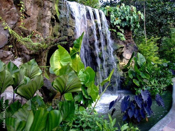 Fototapeta upadek wody