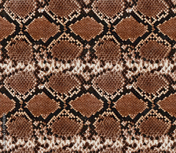 Obraz Seamless snake skin pattern design 