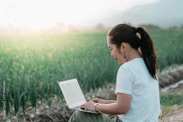 Obraz Researchers using new technology for improving productivity by using computer. Modern Farming Concept.