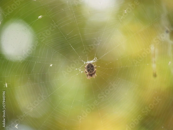 Obraz OLYMPUS DIGITAL CAMERA