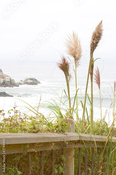 Fototapeta walking path along coastline