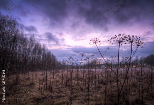 Obraz Field with mist after during dusk
