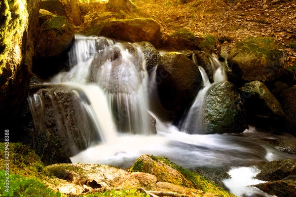 Obraz Small waterfall in a forest