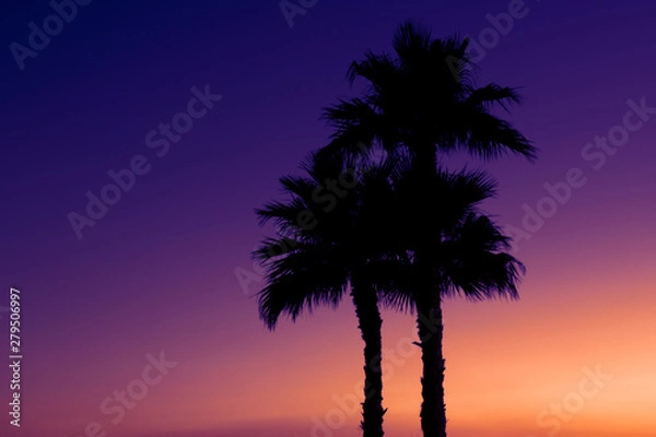Obraz Three palm trees beach sunset
