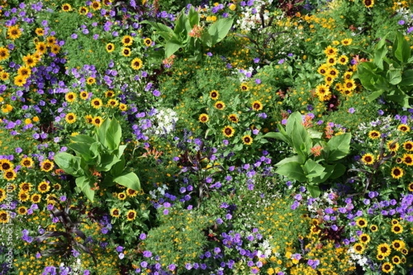 Obraz Blumenbeet von oben