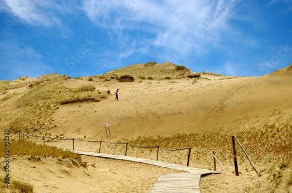 Fototapeta Baltic dunes.The Curonian Spit.Unesco heritage
