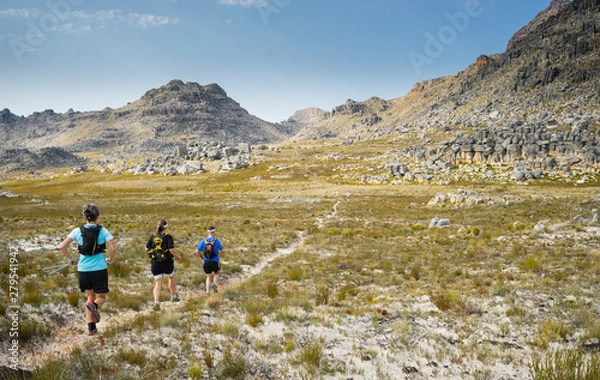 Fototapeta A group of trail runners running along a mountain trail