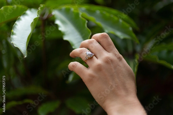 Obraz Woman's Engagement Ring