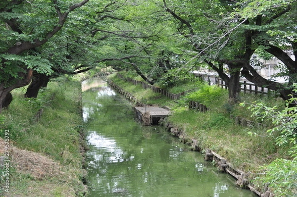 Obraz 川越　氷川橋から見た新河岸川