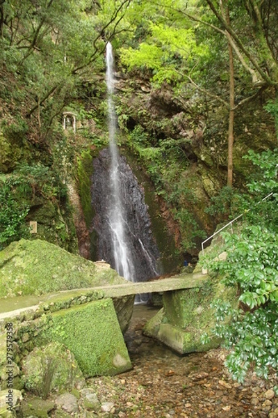 Obraz 徳島市の鳴滝